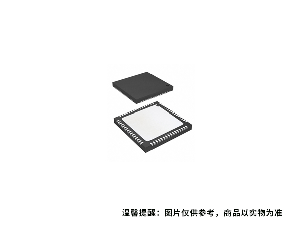 HMC442LM1 ADI(亚德诺) 微控制器